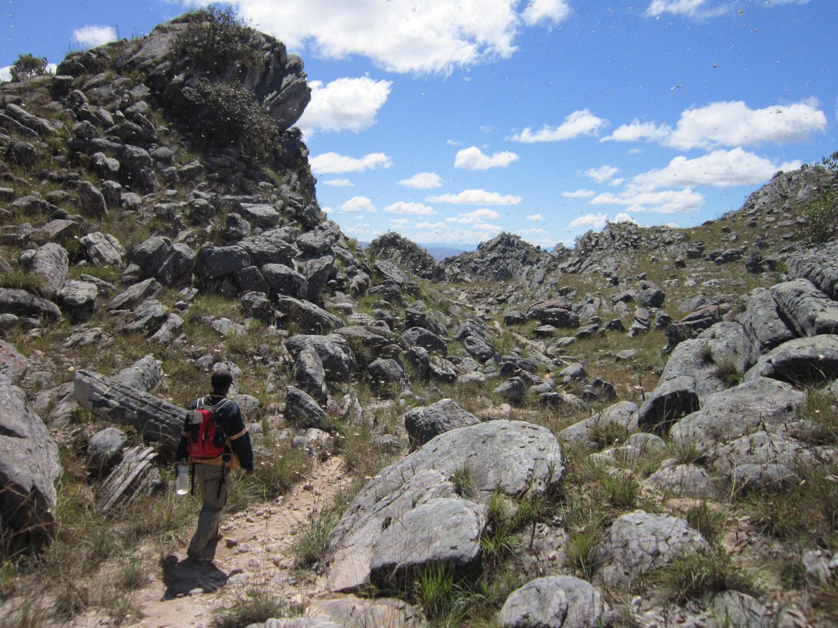 Madagaskar: Exploration nach Bergkristall in den Bergen von Betafo