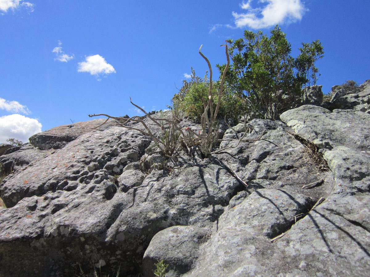 Madagaskar: Exploration nach Bergkristall in den Bergen von Betafo