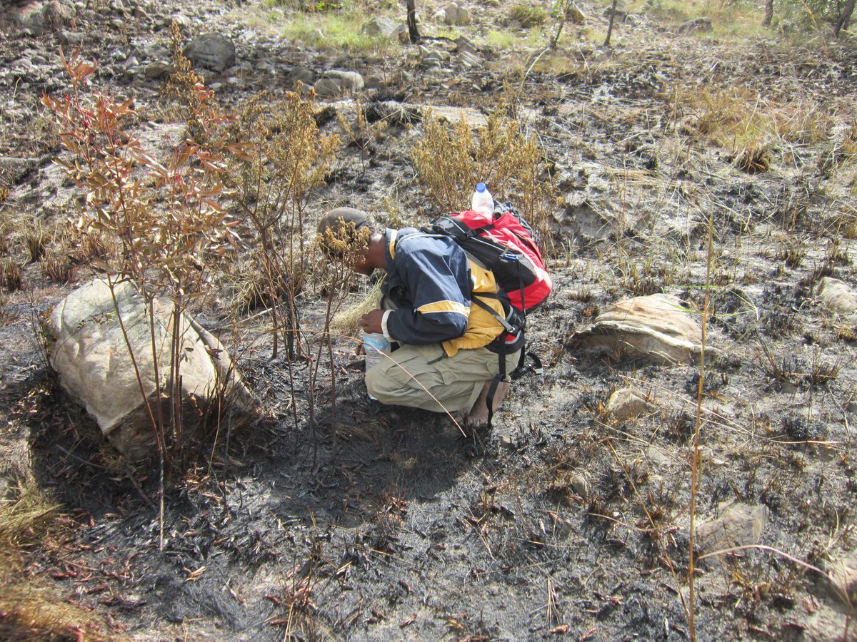 Madagaskar: Exploration nach Bergkristall in den Bergen von Betafo