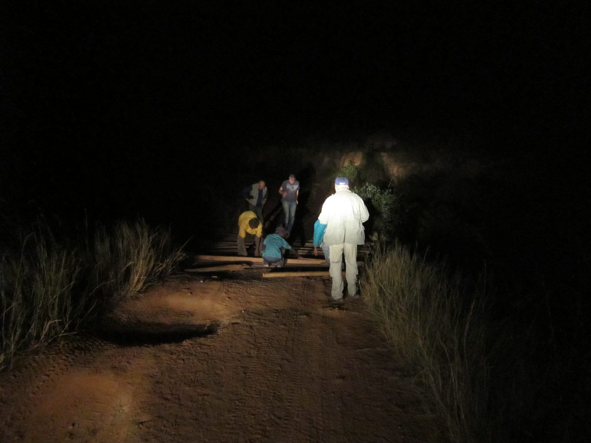 Madagaskar: Das Fahren bei Nacht birgt immer wieder Überraschungen!