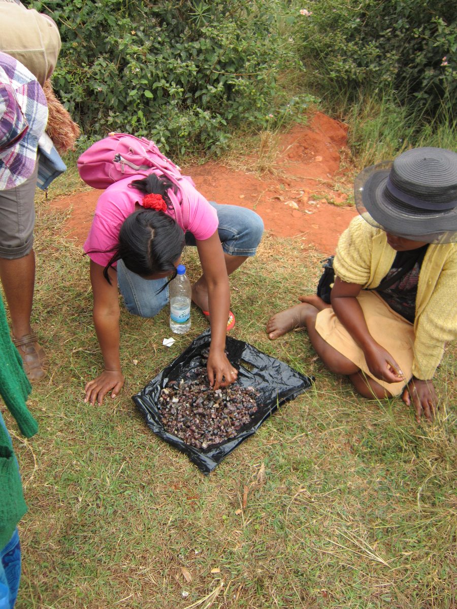 Madagaskar: Turmalinmine im Manandano Valley
