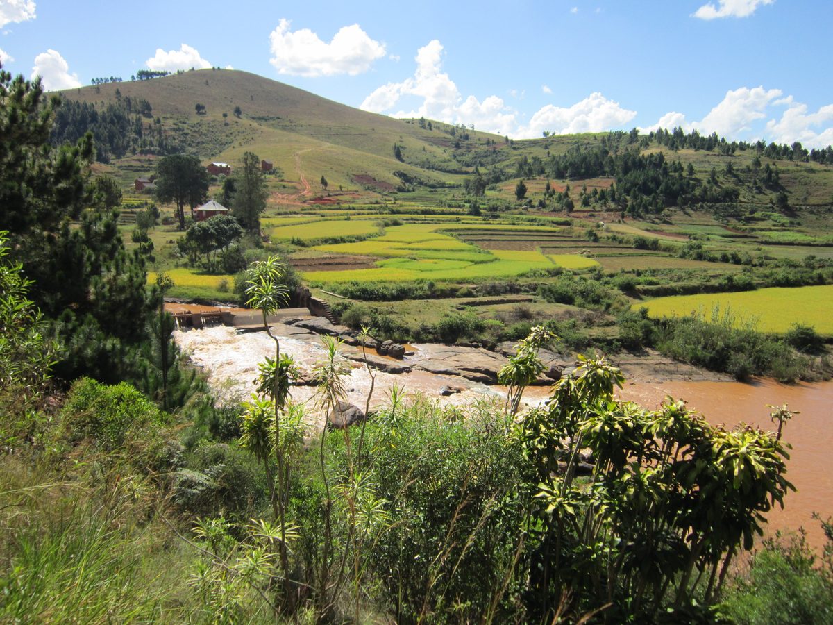 Madagaskar: Der Lemurenpark von Antananarivo