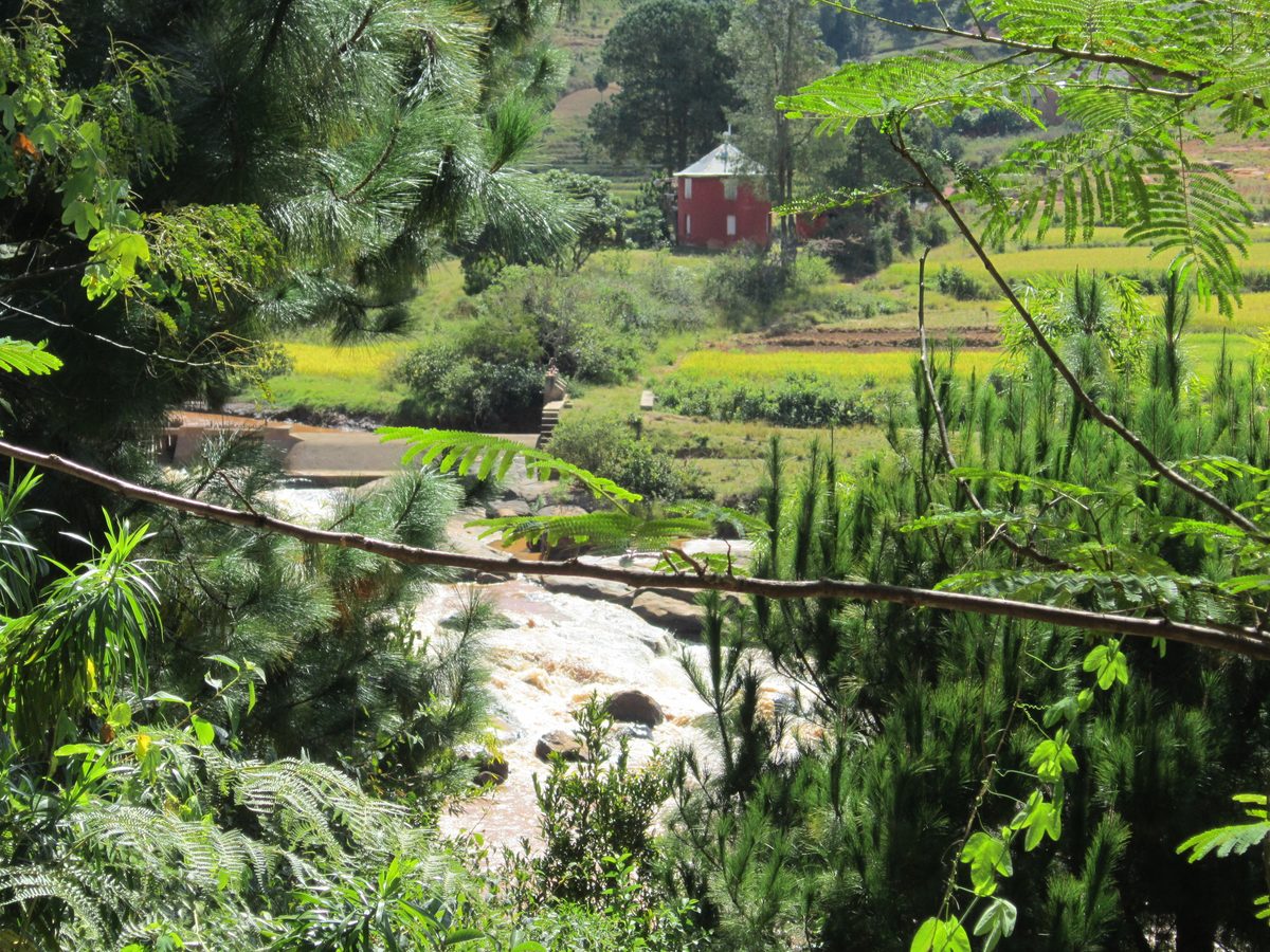 Madagaskar: Der Lemurenpark von Antananarivo