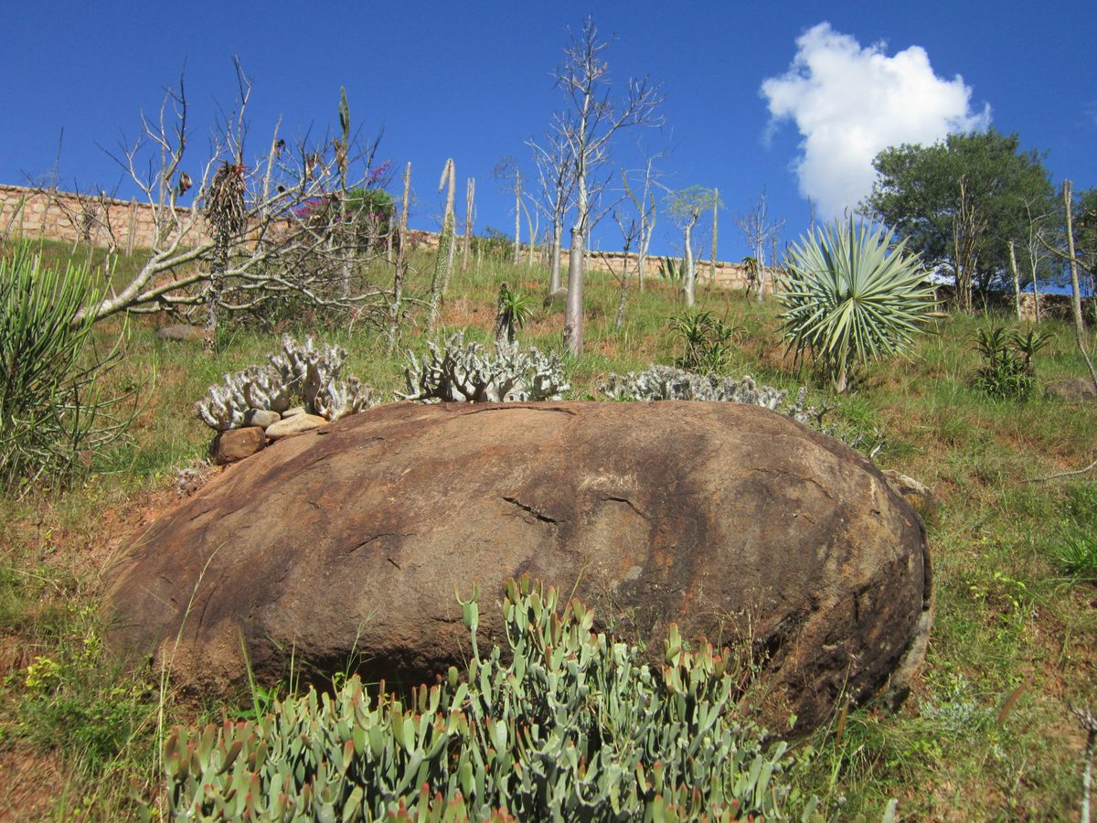 Madagaskar: Der Lemurenpark von Antananarivo