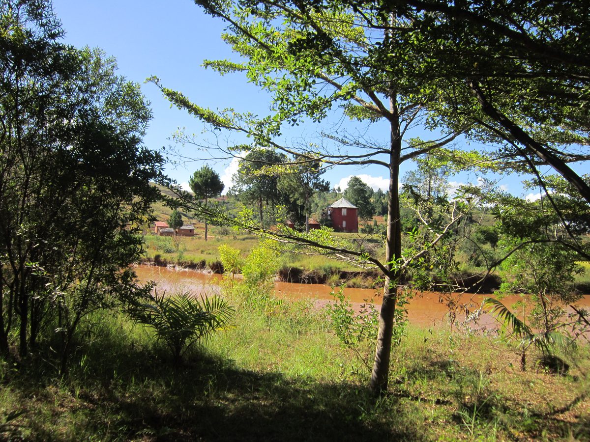 Madagaskar: Der Lemurenpark von Antananarivo