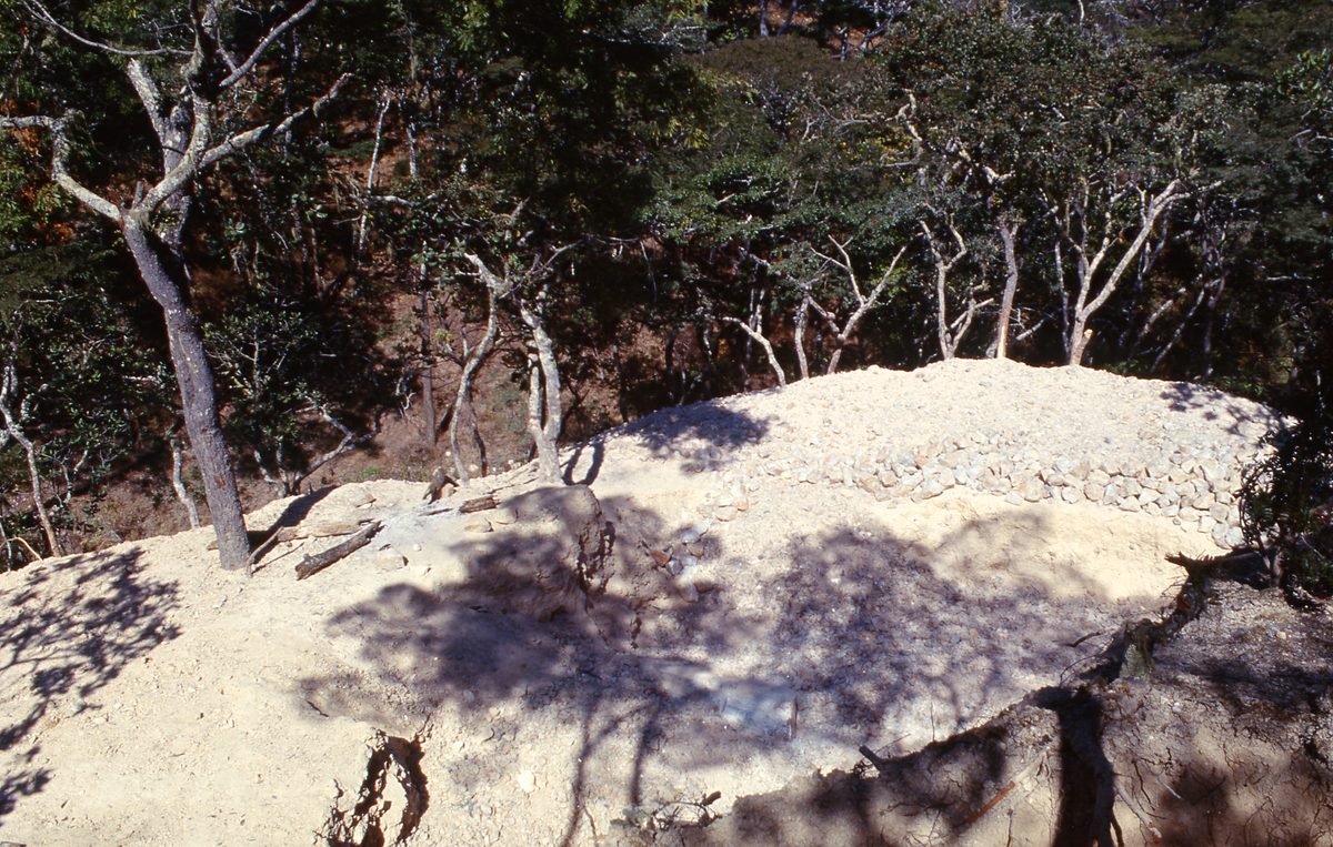 Malawi: Mzimba Pegmatite