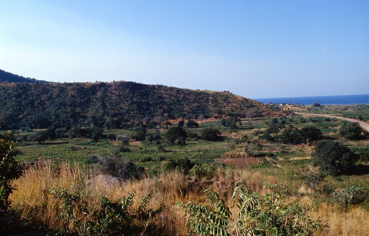Malawi: Zomba Plateau (Mt. Malosa)