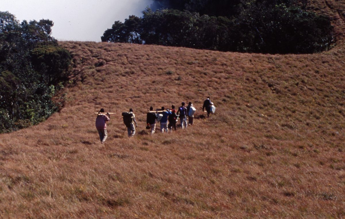 Malawi: Zomba Plateau (Mt. Malosa)