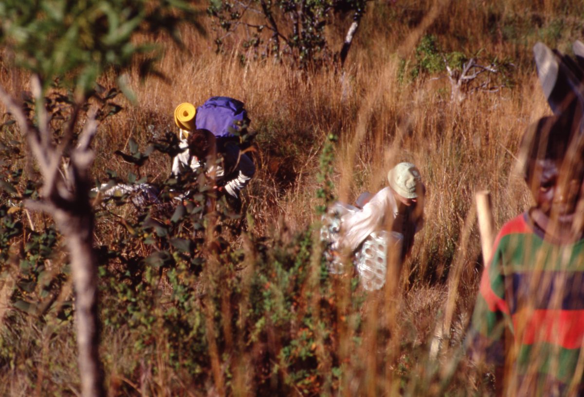 Malawi: Zomba Plateau (Mt. Malosa)