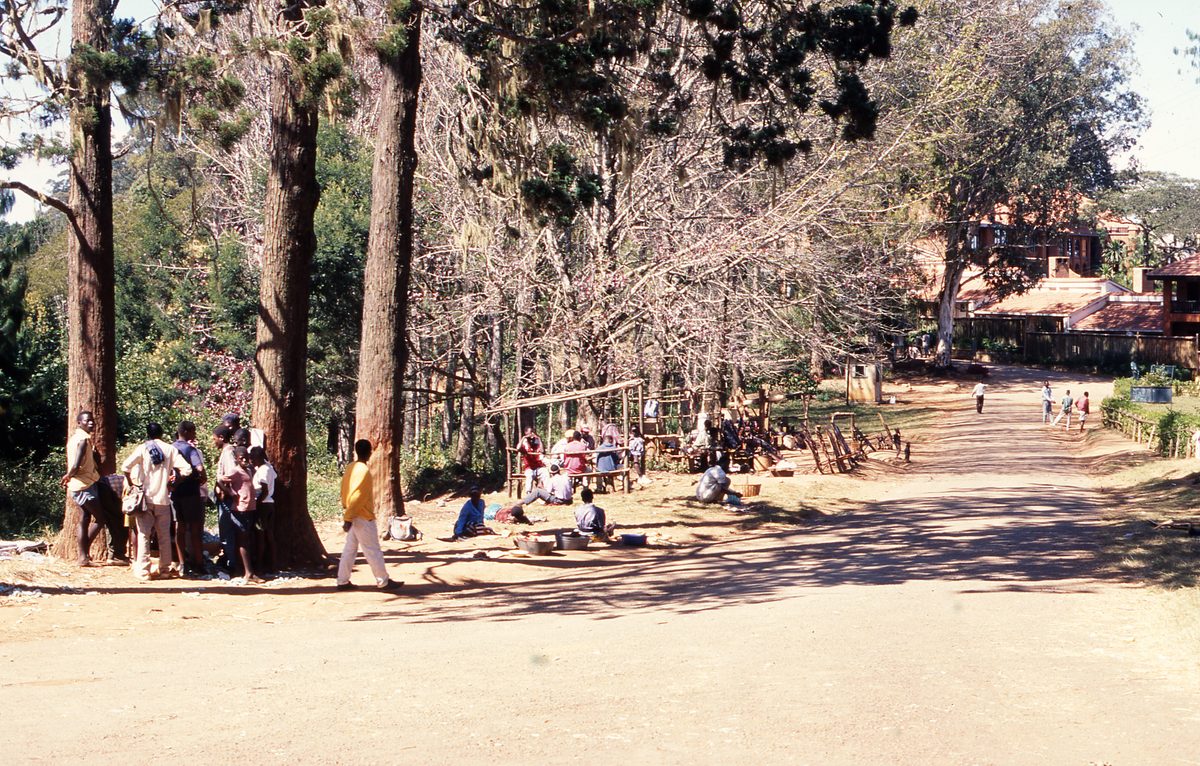Malawi: Unsere Aufkaufstation auf dem Zomba Plateau