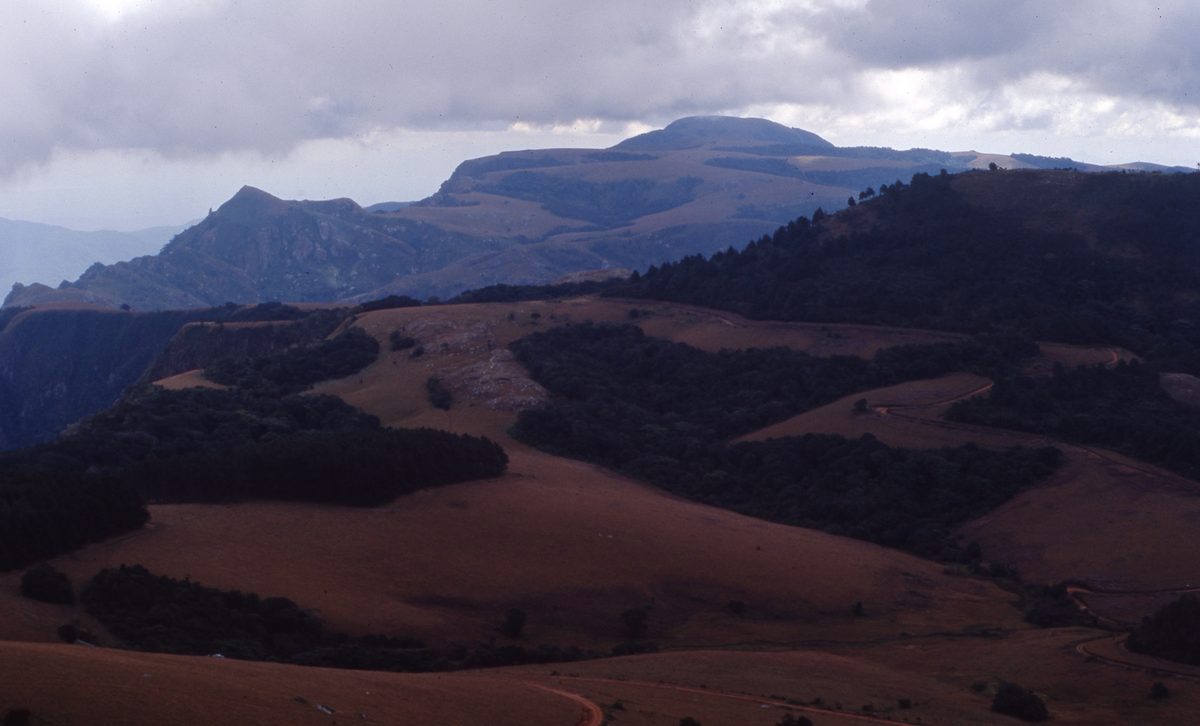 Malawi: Zomba Plateau (Mt. Malosa)