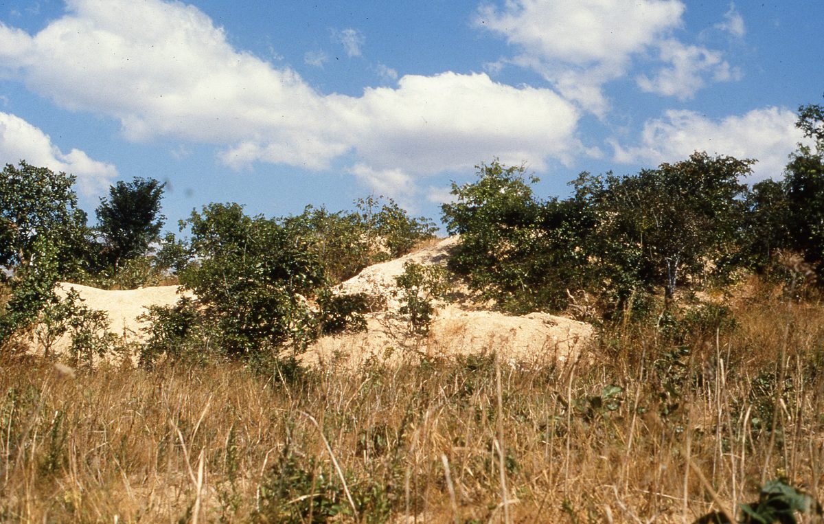 Malawi: Mzimba Pegmatite