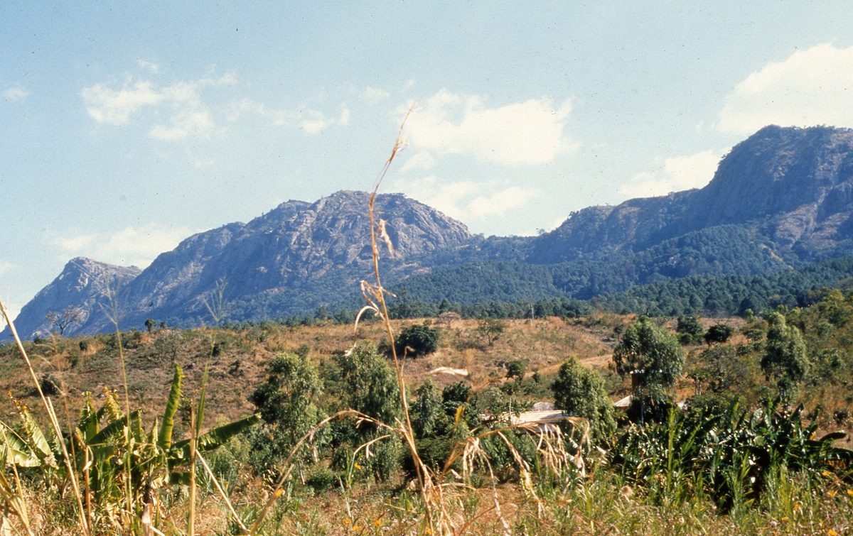 Malawi: Zomba Plateau (Mt. Malosa)