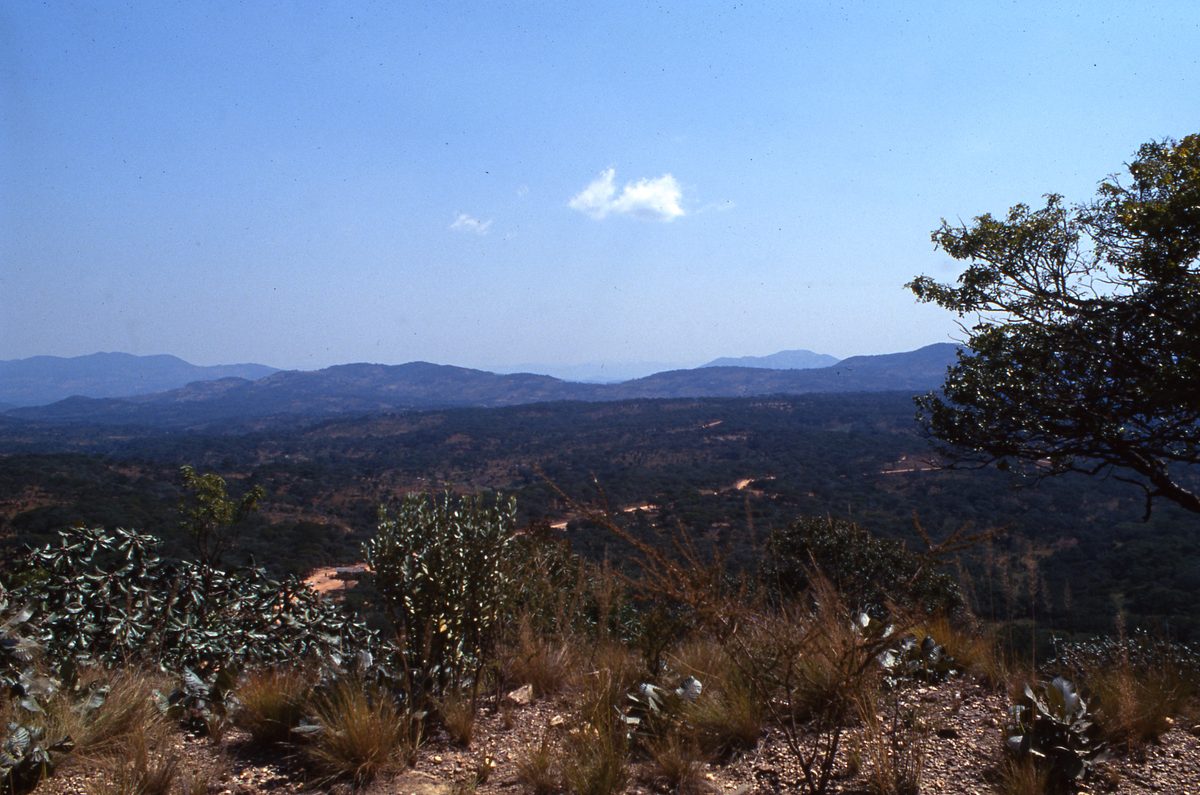 Malawi: Zomba Plateau (Mt. Malosa)