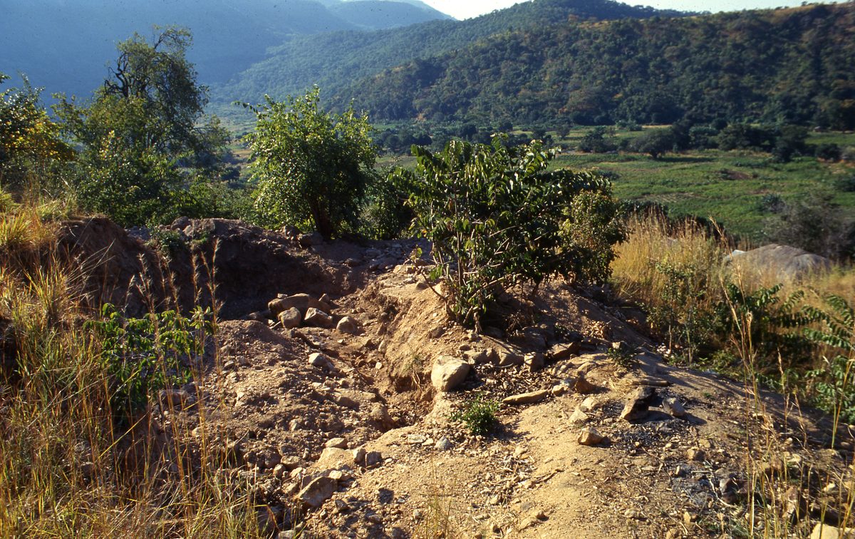 Malawi: Zomba Plateau (Mt. Malosa)