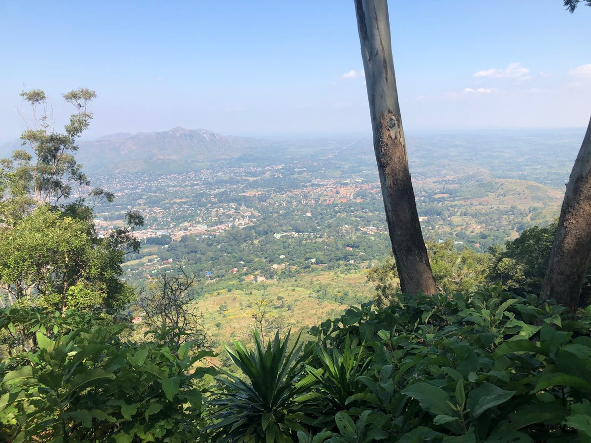 Malawi: Zomba Plateau (Mt. Malosa)