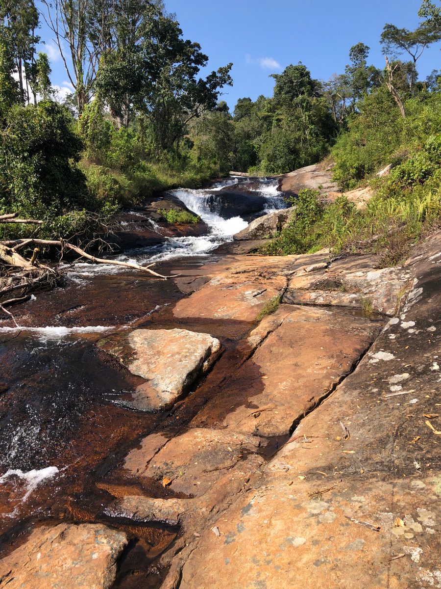 Malawi: Zomba Plateau (Mt. Malosa)