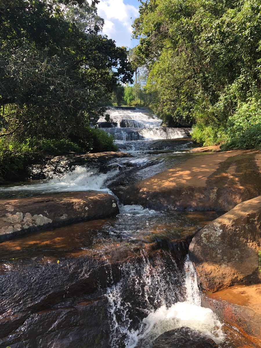 Malawi: Zomba Plateau (Mt. Malosa)