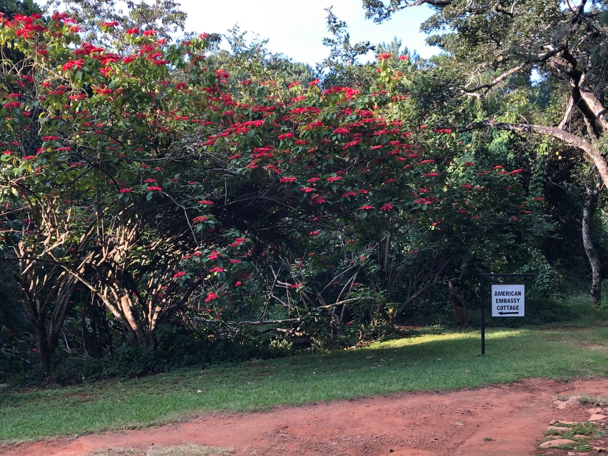 Malawi: Zomba Plateau (Mt. Malosa)