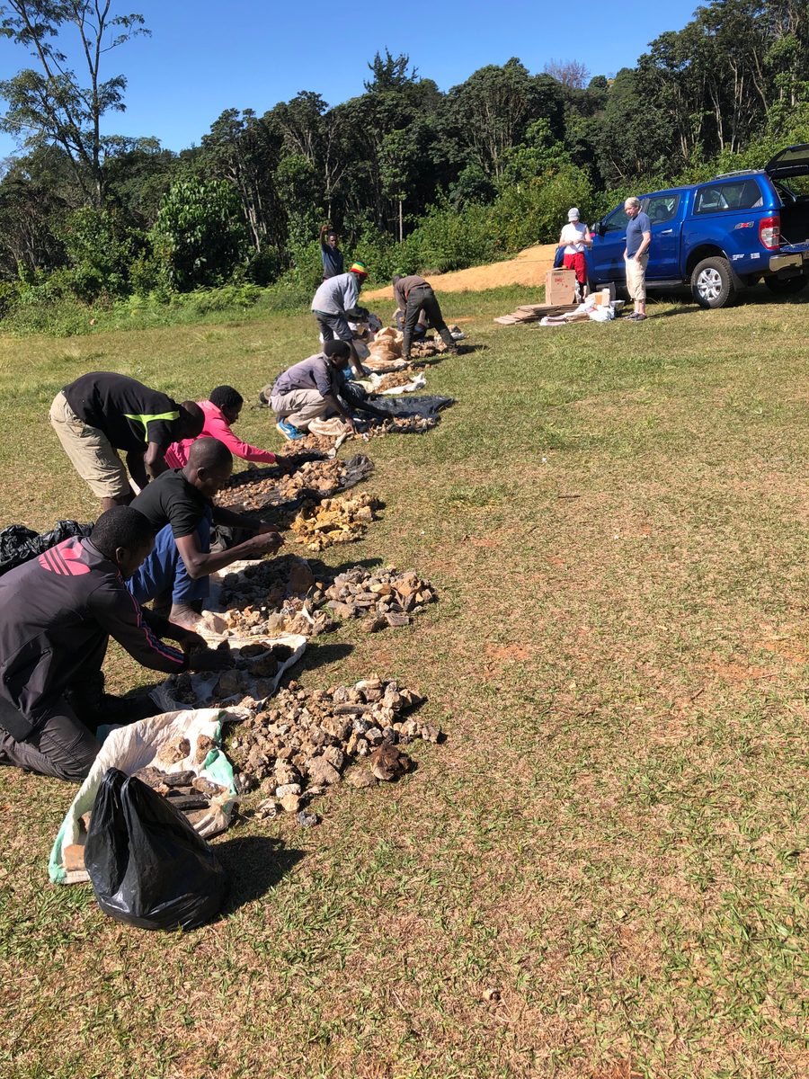 Malawi: Zomba Plateau (Mt. Malosa)