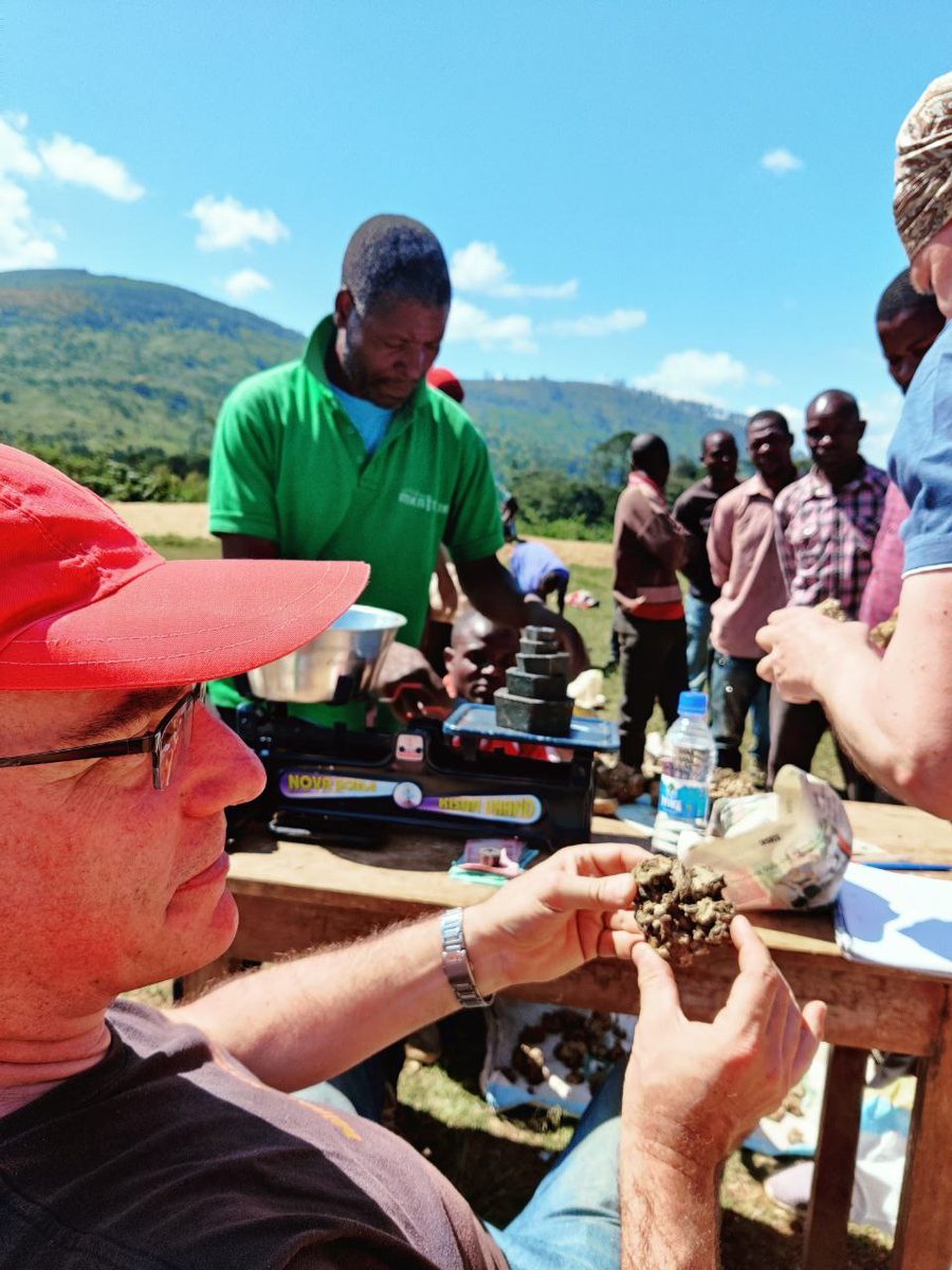 Malawi: Zomba Plateau (Mt. Malosa)