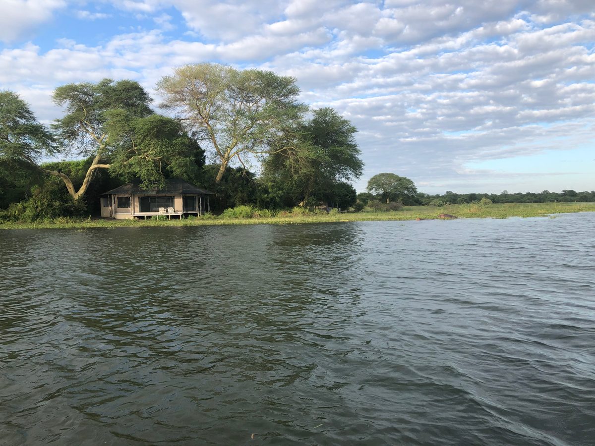 Malawi: Tundulu Hill mit tollen UV-Mineralien im Karbonatit, mittig im Liwonde Nationalpark gelegen. Das Sam