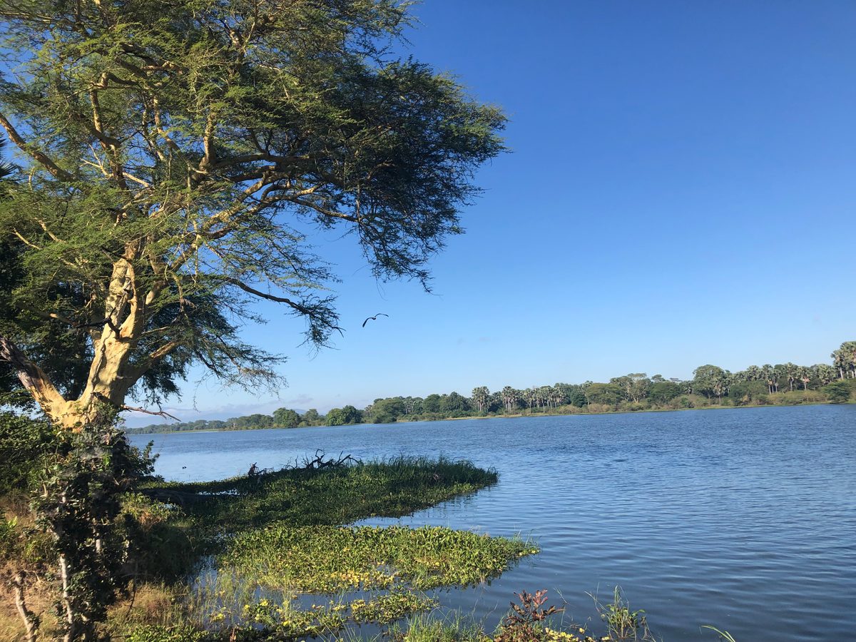 Malawi: Tundulu Hill mit tollen UV-Mineralien im Karbonatit, mittig im Liwonde Nationalpark gelegen. Das Sam
