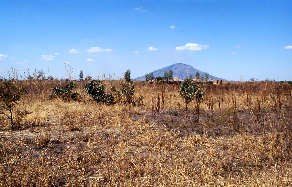 Malawi: Zomba Plateau (Mt. Malosa)