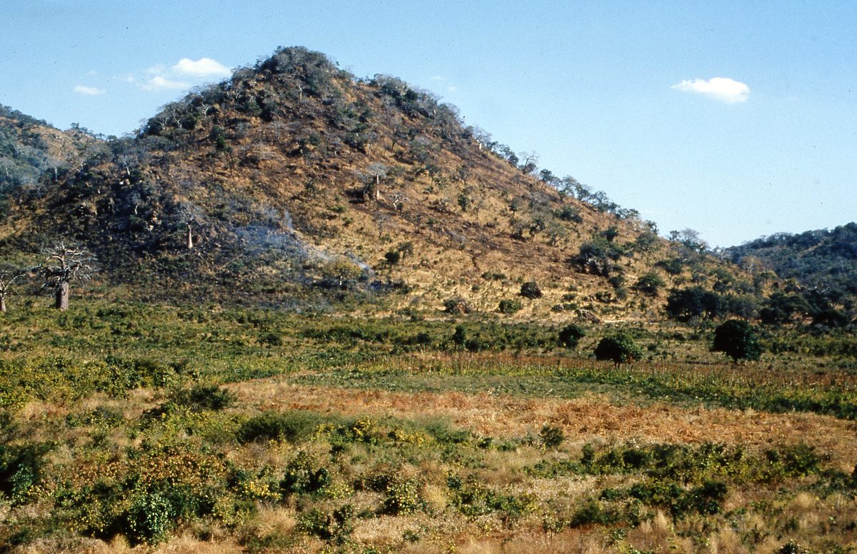 Malawi: Zomba Plateau (Mt. Malosa)
