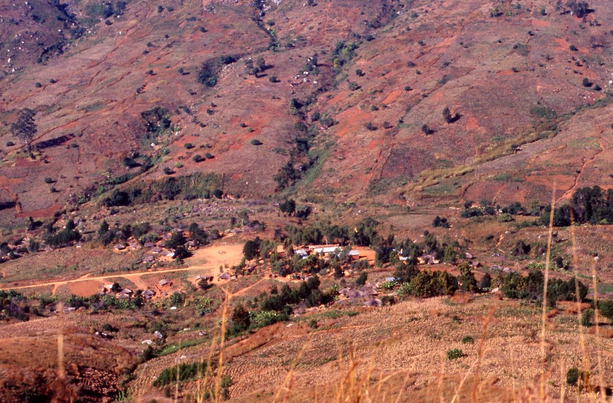 Malawi: Zomba Plateau (Mt. Malosa)