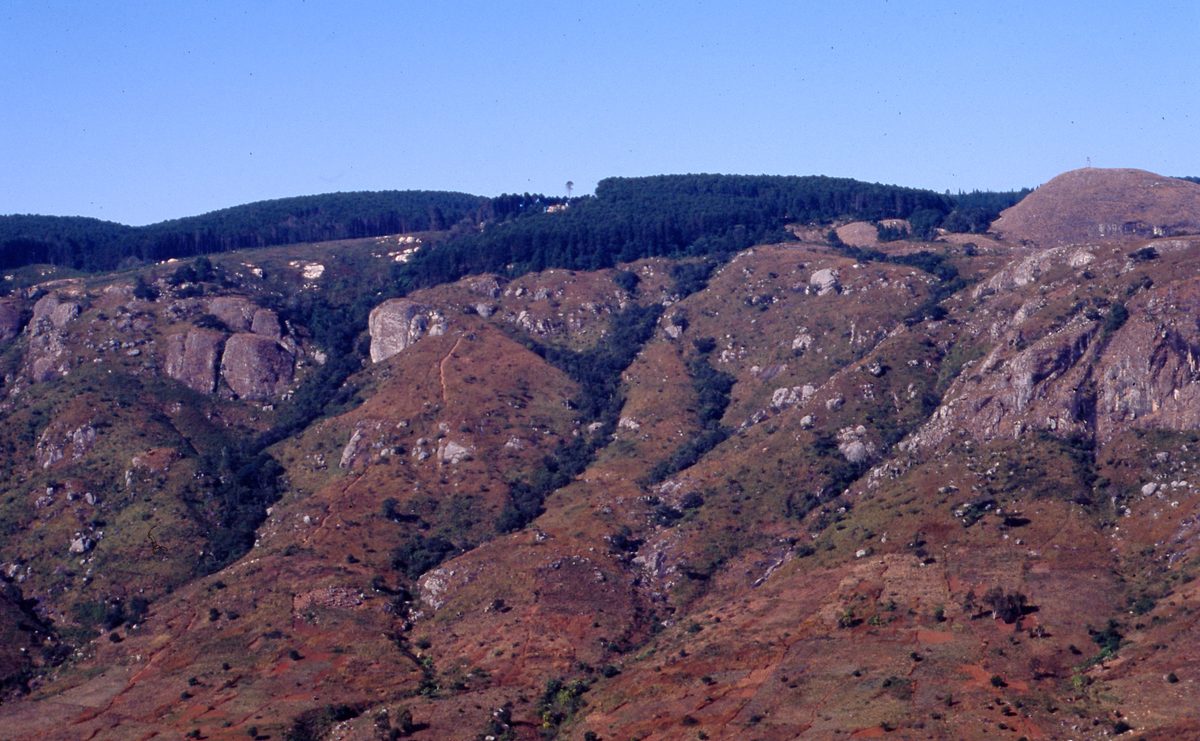 Malawi: Zomba Plateau (Mt. Malosa)