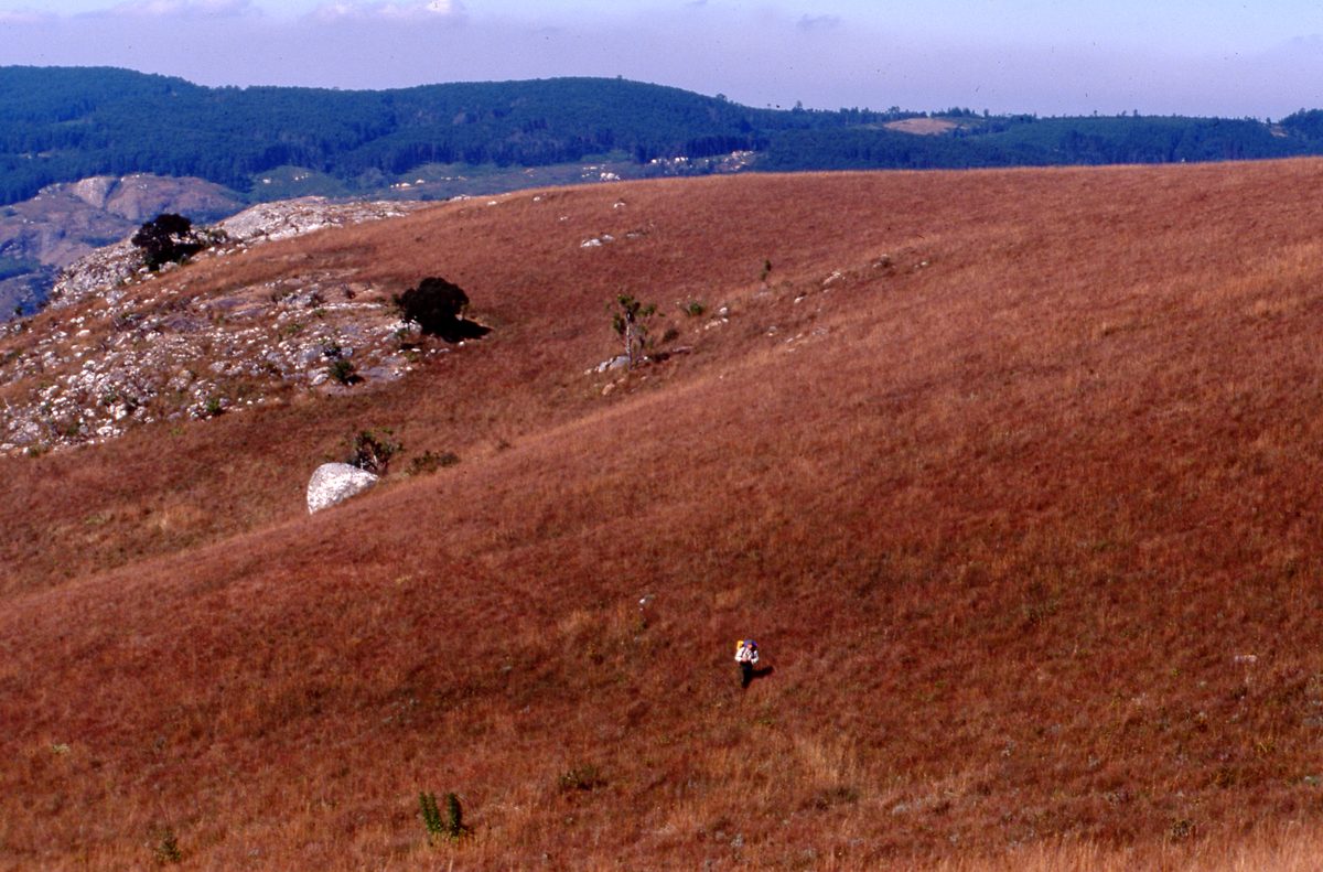 Malawi: Zomba Plateau (Mt. Malosa)