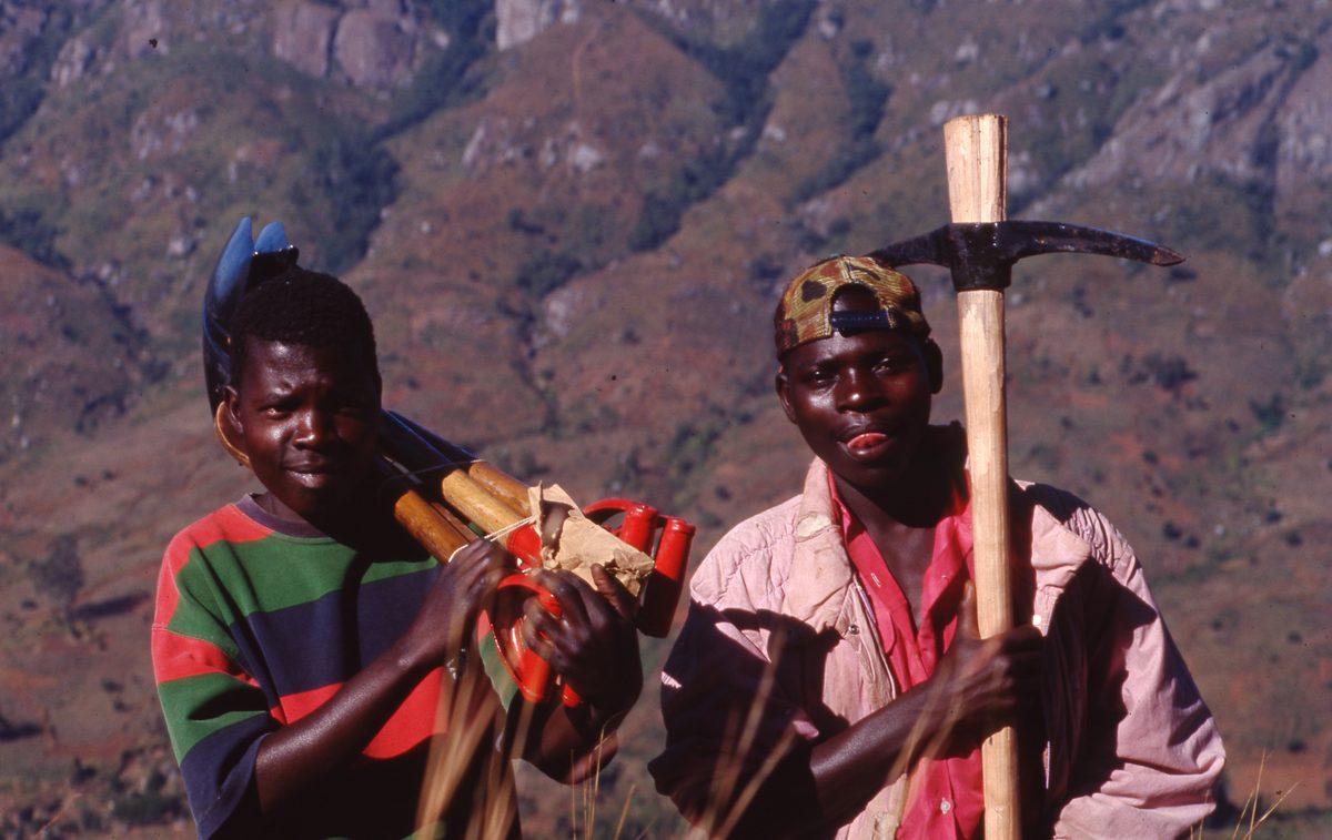 Malawi: Zomba Plateau (Mt. Malosa)