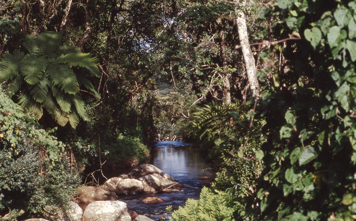 Malawi: Zomba Plateau (Mt. Malosa)