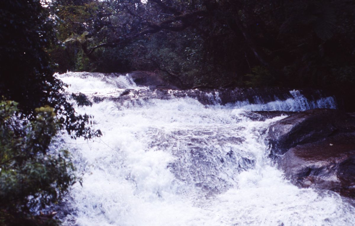 Malawi: Zomba Plateau (Mt. Malosa)