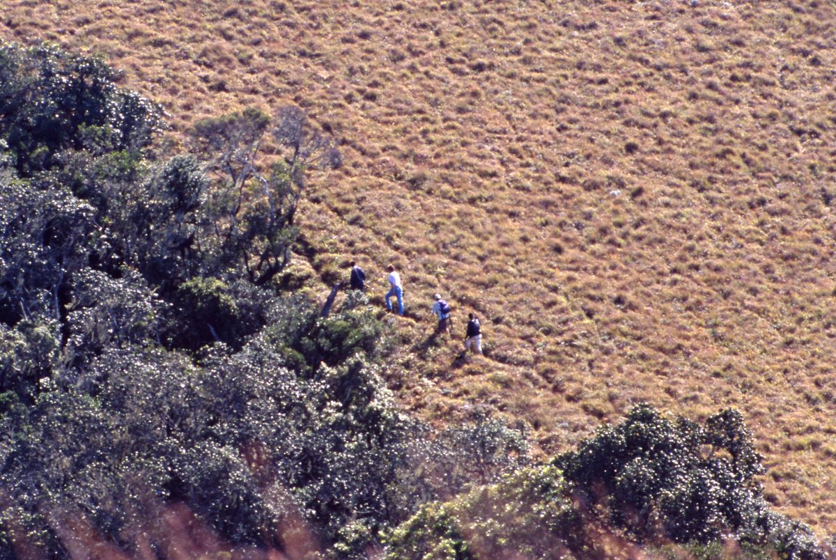 Malawi: Zomba Plateau (Mt. Malosa)