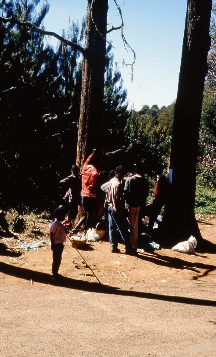 Malawi: Zomba Plateau (Mt. Malosa)