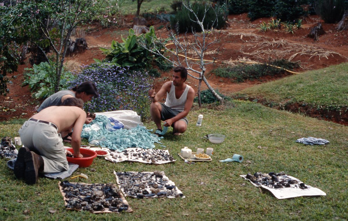 Malawi: Zomba Plateau (Mt. Malosa)