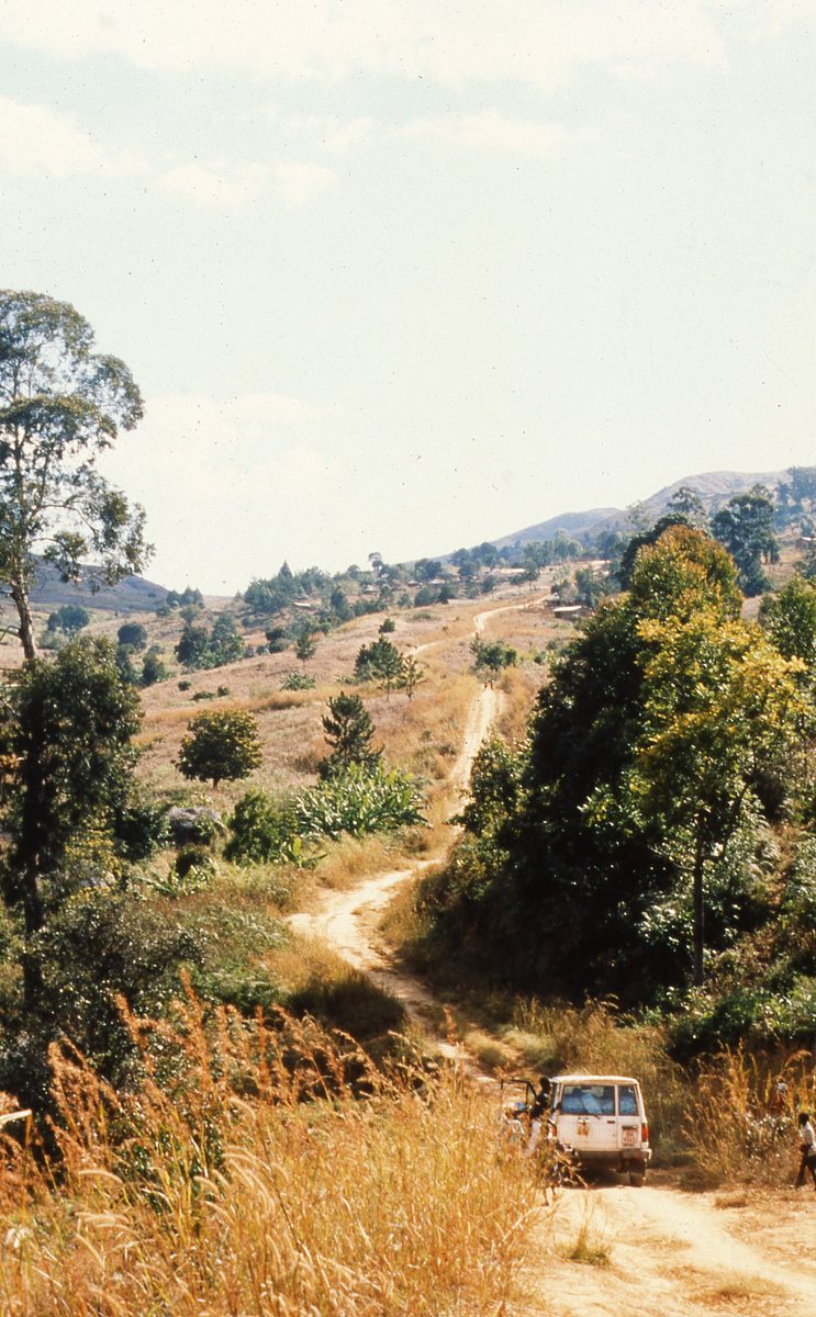 Malawi: Mzimba Pegmatite