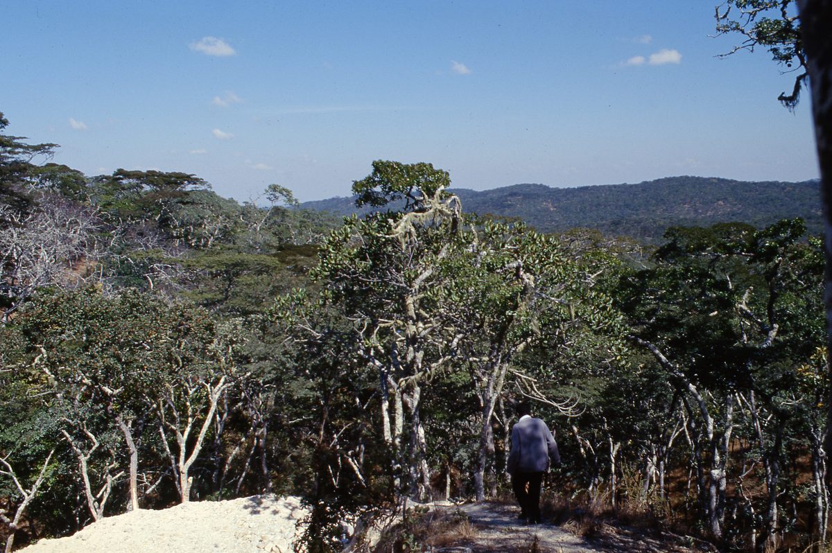 Malawi: Mzimba Pegmatite