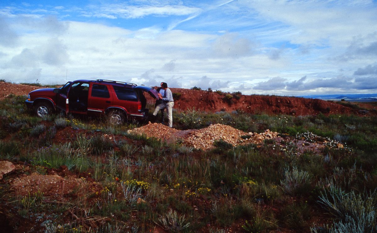 Malawi: Mzimba Pegmatite