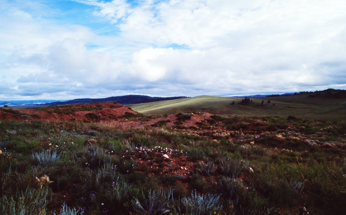 Malawi: Mzimba Pegmatite