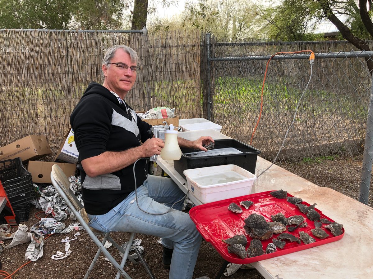 Mexiko: Aufbereiten der Funde nach der Tour in unserem Haus in Tucson. Von hier geht dann alles gleich an de