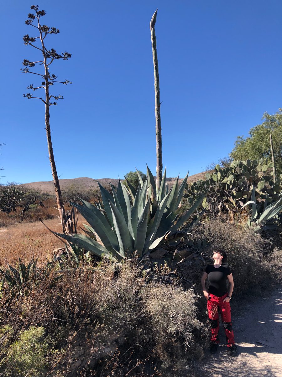 Mexiko: Charcas und Umgebung