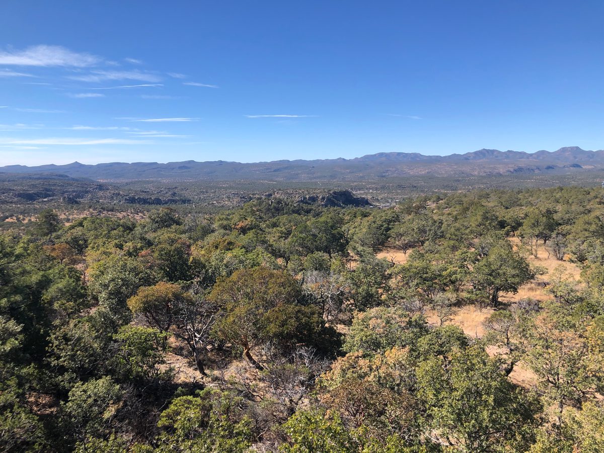 Mexiko: Nationalpark in den Bergen von Chihuahua samt Aussichtsturm