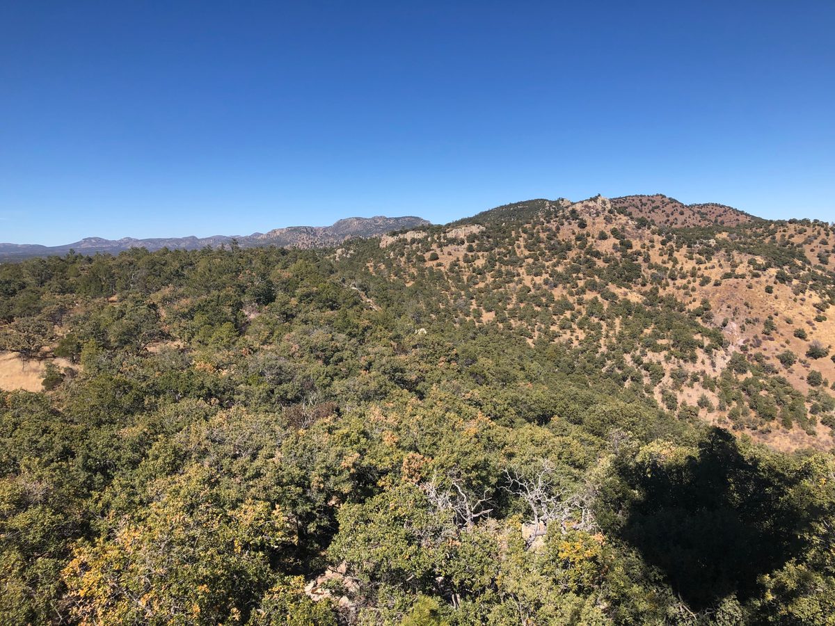 Mexiko: Nationalpark in den Bergen von Chihuahua samt Aussichtsturm