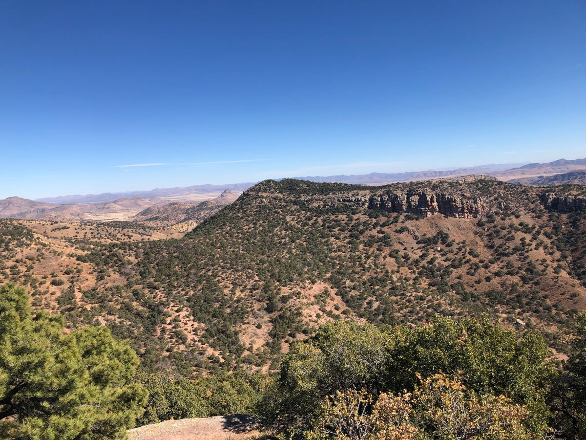 Mexiko: Nationalpark in den Bergen von Chihuahua samt Aussichtsturm