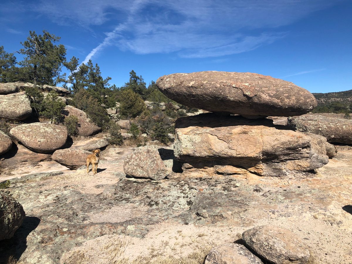 Mexiko: Nationalpark in den Bergen von Chihuahua samt Aussichtsturm