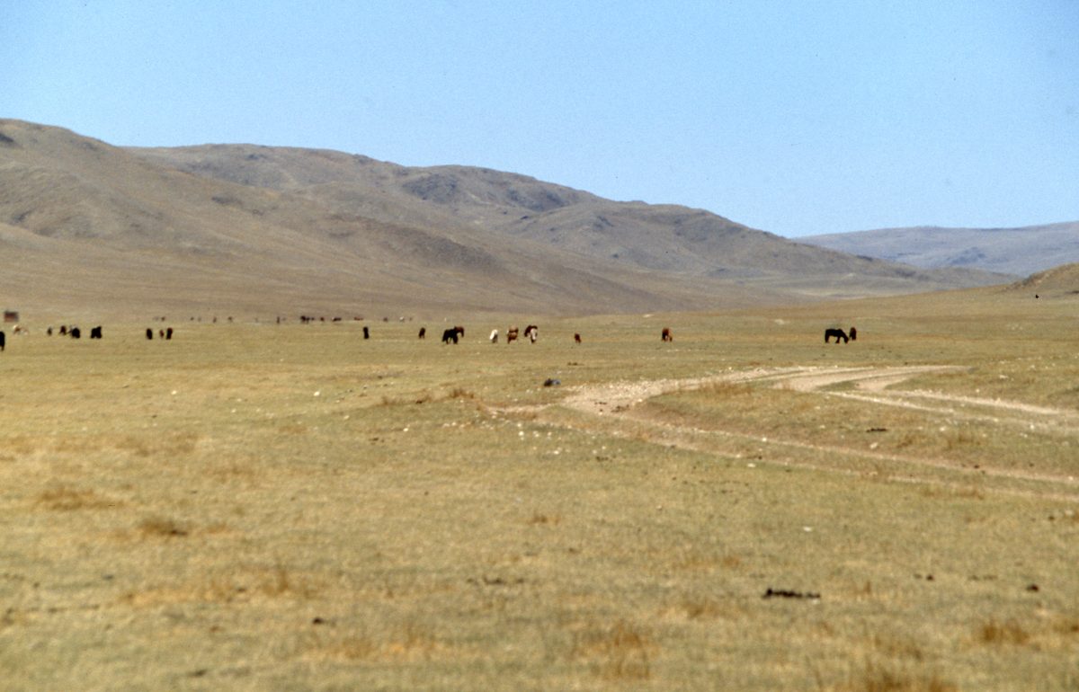 Mongolei: Fahr in die unendliche Weite der Steppe und dann der Gobi. Ziel sind die Fluorit Minen der Gegend vo
