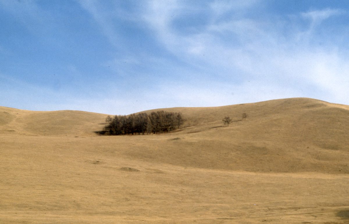 Mongolei: Fahr in die unendliche Weite der Steppe und dann der Gobi. Ziel sind die Fluorit Minen der Gegend vo